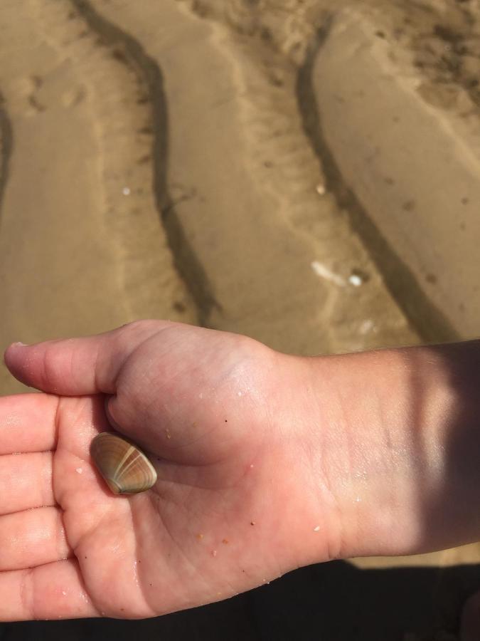 לינה וארוחת בוקר ביגאנוס Domaine De L'Espiguette מראה חיצוני תמונה